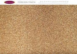 Foreign Finch Seed